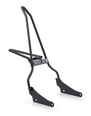 Iron Born Sissy Bar with Foldable Luggage Rack for Harley Sportster Nightster RH975/S Matte Black