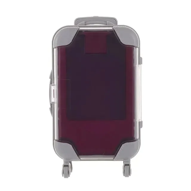 Mini Luggage
